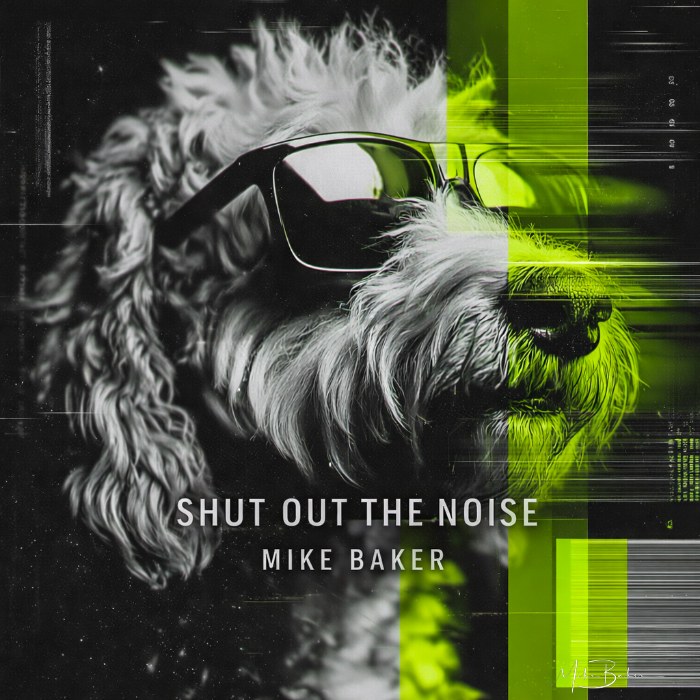 Shut Out the Noise cover art